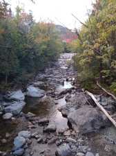 Rocky stream